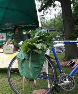 farmgirl organics chicago